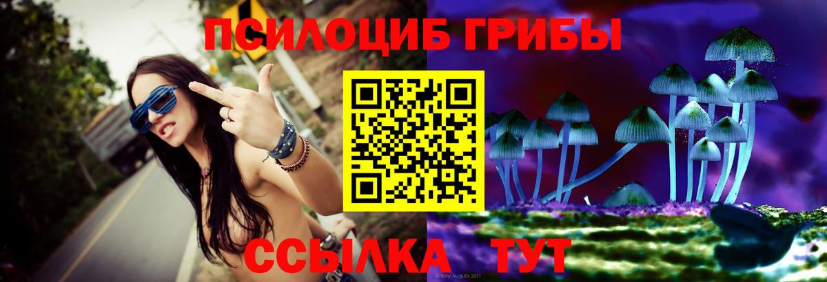 Братск  Псилоцибиновые грибы мицелий  Вход с VPN 